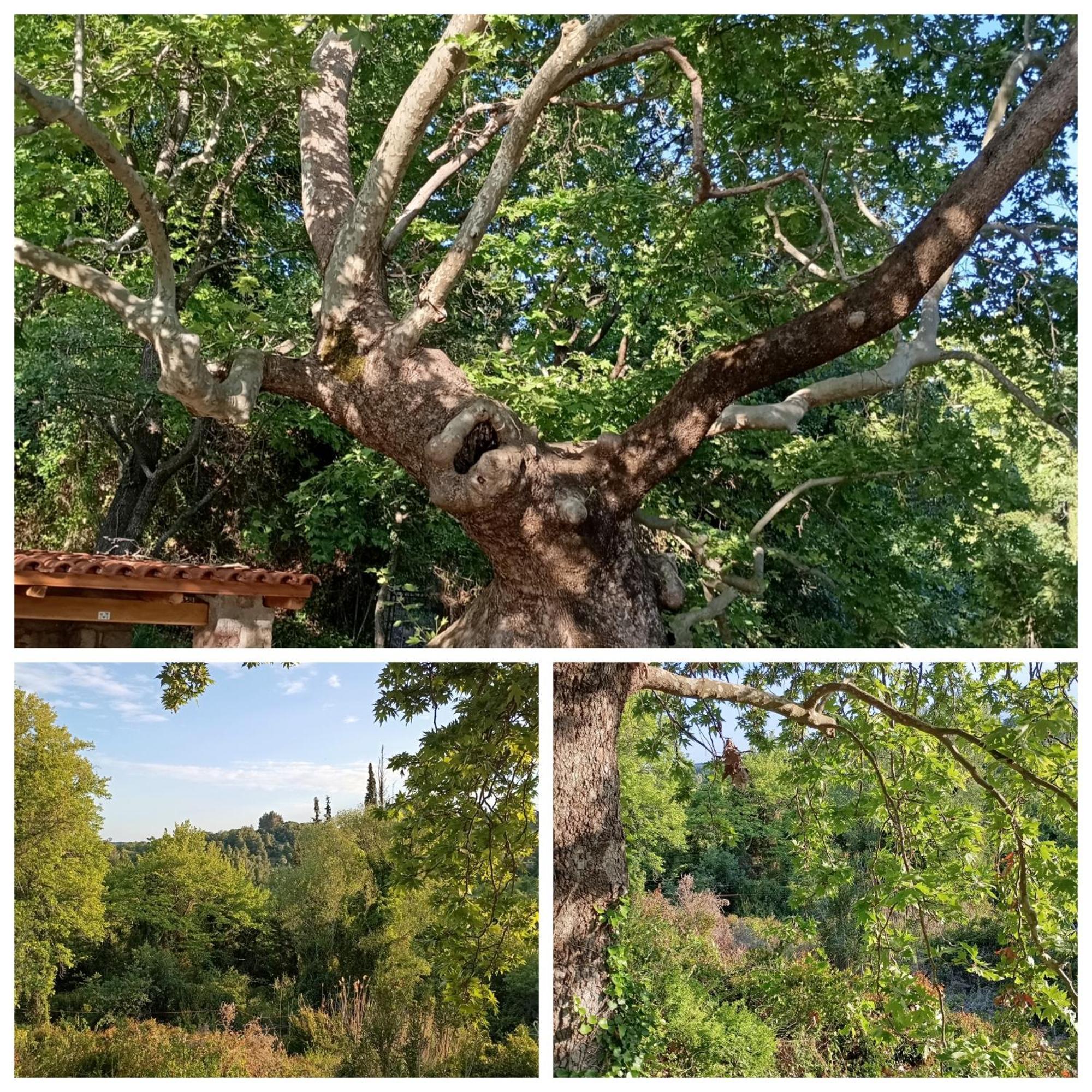 La Nature Konistres Zewnętrze zdjęcie